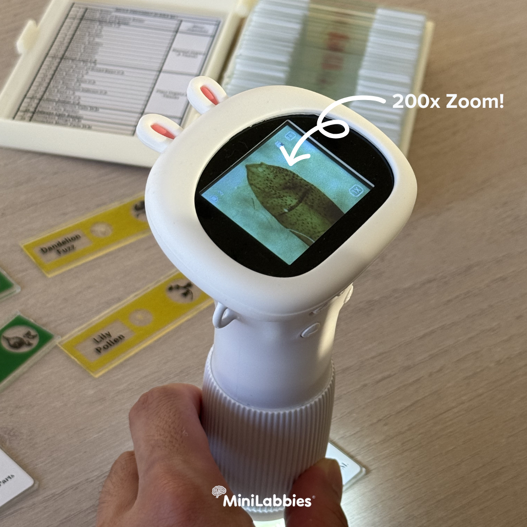 Digiscope - digital microscope