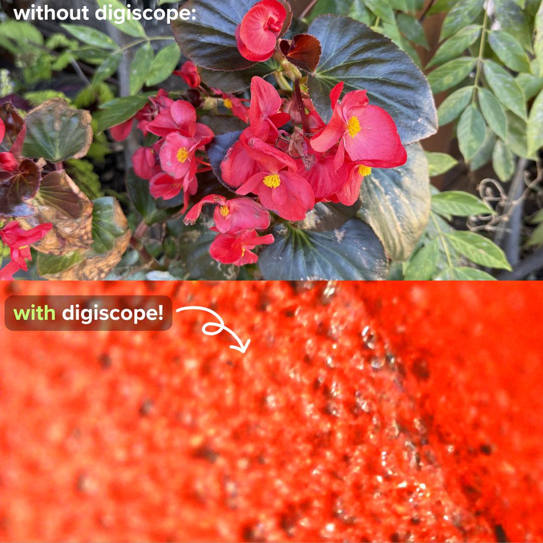 Digiscope - digital microscope